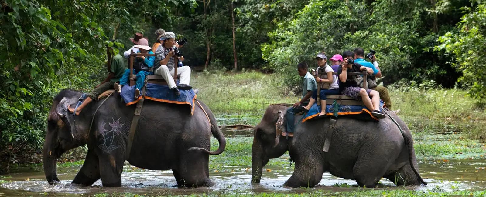 Chitwan Jungle Safari